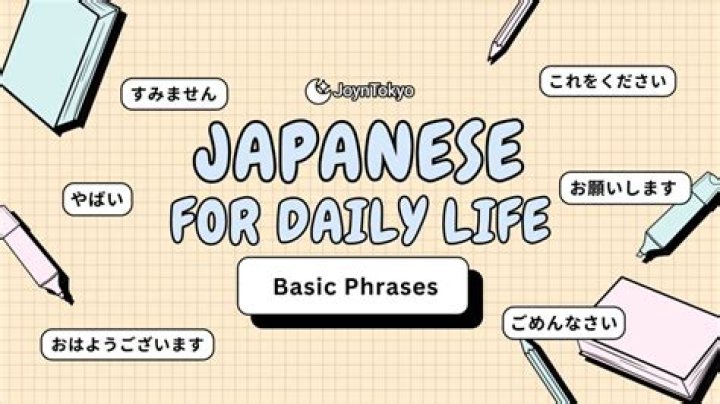 「aika frau 日本人」とは？言葉の意味と誤解を整理する